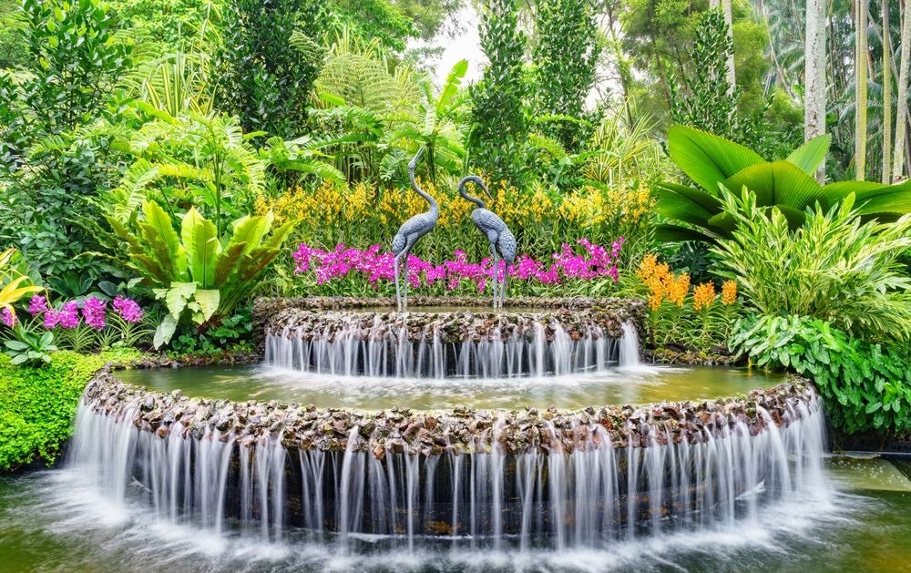 Singapore Botanic Garden Attractions
