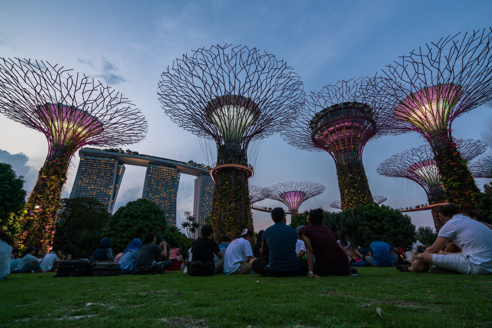 SuperTree Grove under Blue Night Sky in Singapore.